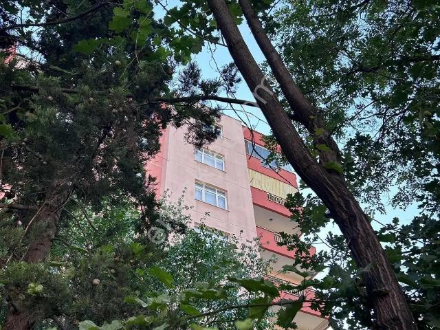 Karkent Cadde Cephe 3+1 Ara Kat Daire