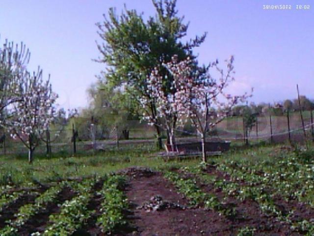 Карла Маркса х, Белевцы ул