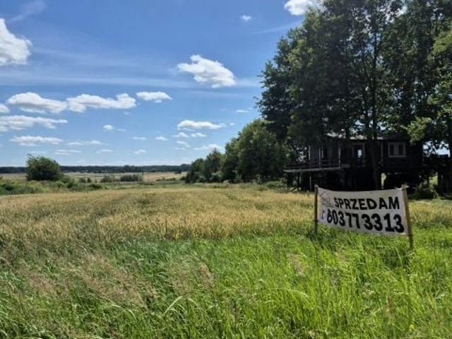 Karola Miarki 6 500 m², Gierałtowice