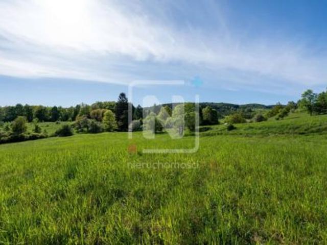 Karpacz, Wilcza Poręba, ul. Wilcza, 56849 m² Działka