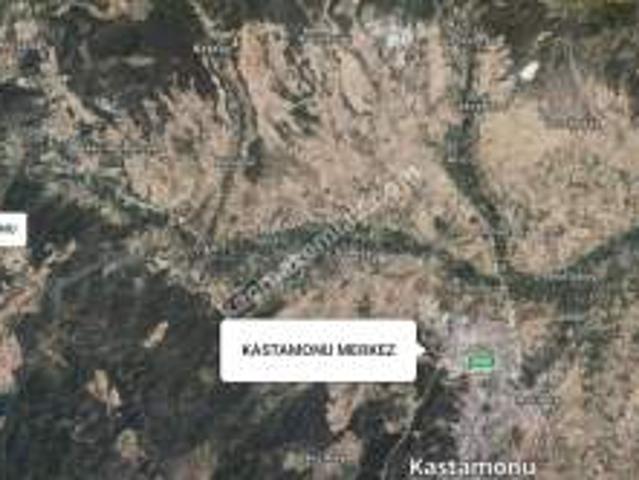 Kastamonu Daday Hasan Şeyh Köyünden Satılık Arsa