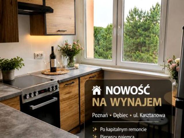 Kasztanowa 50 m², Poznań