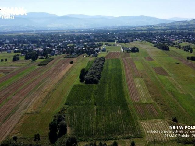 Kasztanowa 6 588 m², Leśna
