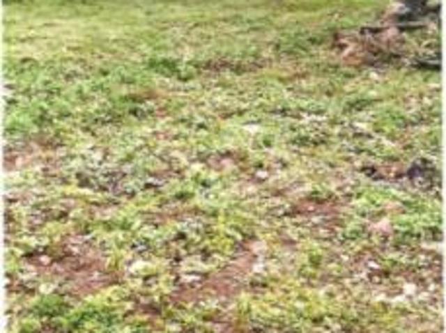 Kasaba Hobli Residential Plot For Sale Bengaluru