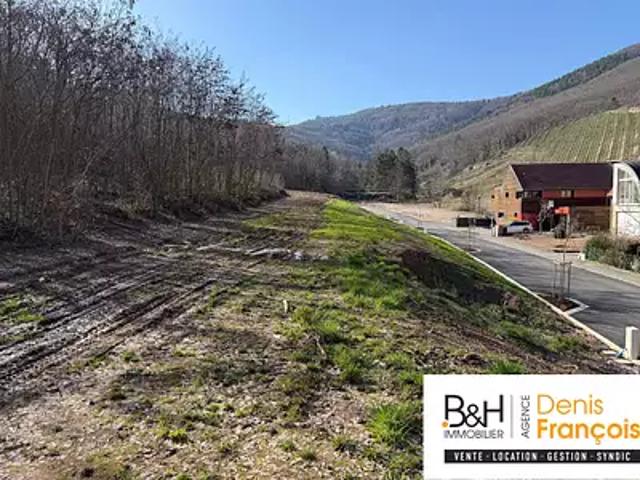 Katzenthal 68230 Achat / Vente terrain