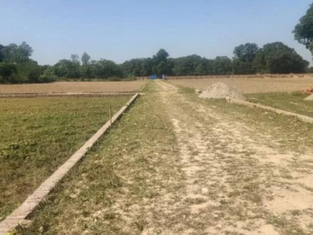 Katara Hills 139 Sq.Yd. Plot in Katara Hills Bhopal Listing ID: #10062