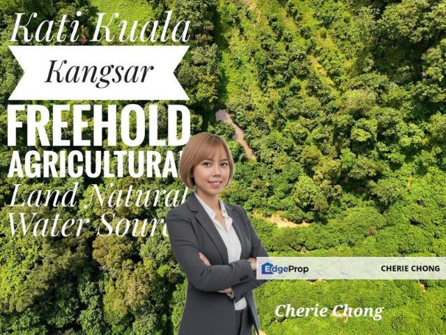 Kati Kuala Kangsar Freehold Agricultural Land With Natural Water Supply Farming Potential