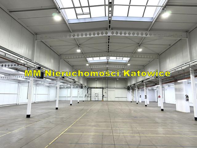 Katowice