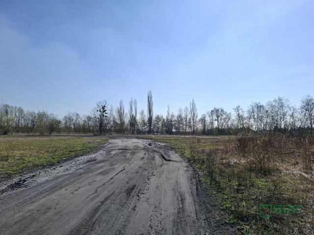 Katowice, Kostuchna, T. Boya Żeleńskiego