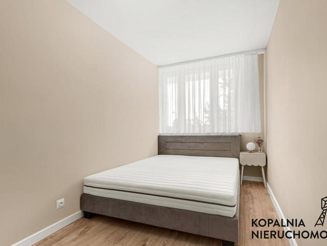 Katowice, Tysiąclecia, Piastów