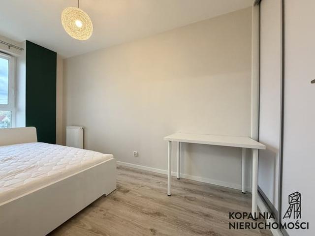 Katowice, Dąb, Johna Baildona
