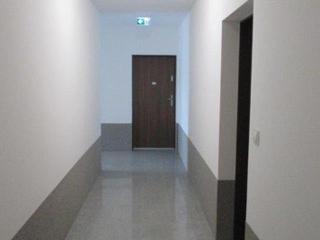 Katowice, Dąb, Johna Baildona