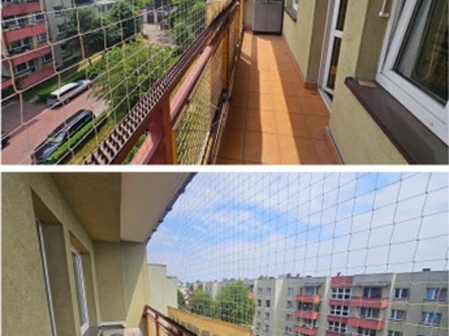 Katowice, Dąb, Złota