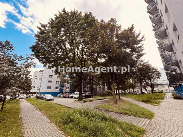 Katowice M. Katowice, Koszutka, Grażyńskiego