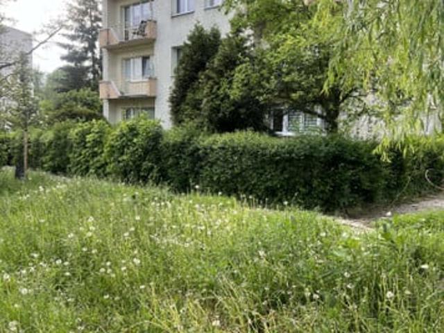 Katowice, Śródmieście, Akacjowa