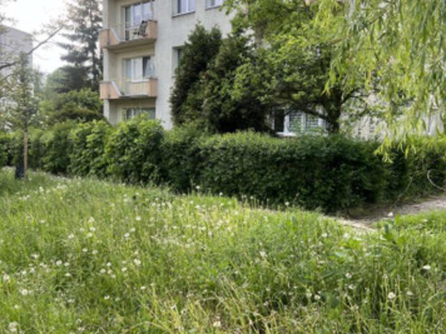 Katowice, Śródmieście, Akacjowa