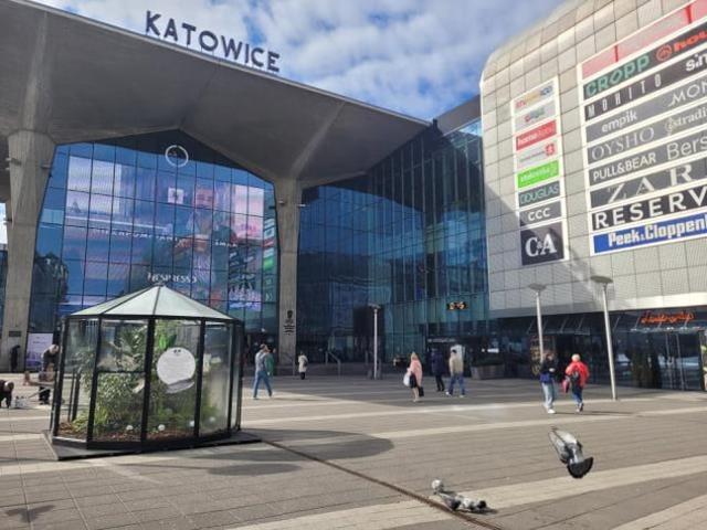 Katowice, Śródmieście, 3 Maja