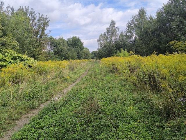 Inwestycyjna działka 25 485 m² z potencjałem w Katowicach