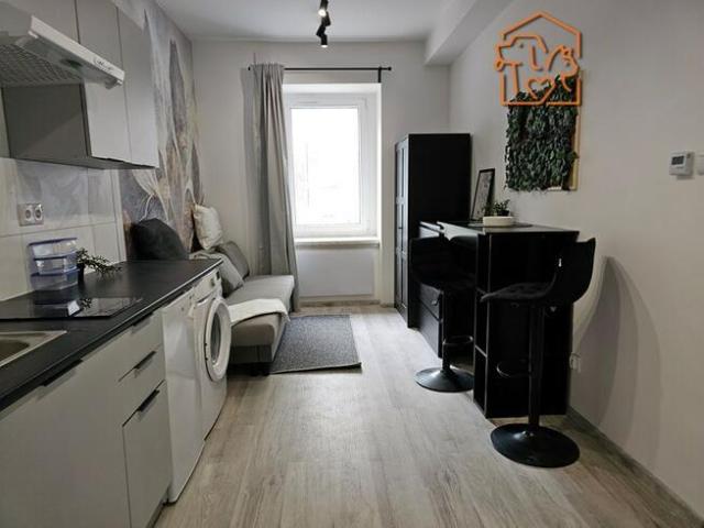 Katowicka 2, Podgórze, przyjazne zwierzętom studio