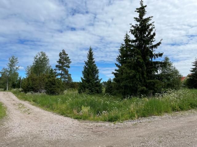 Katrineberg 54