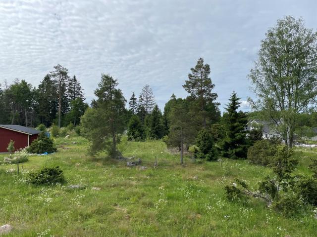 Katrineberg 54