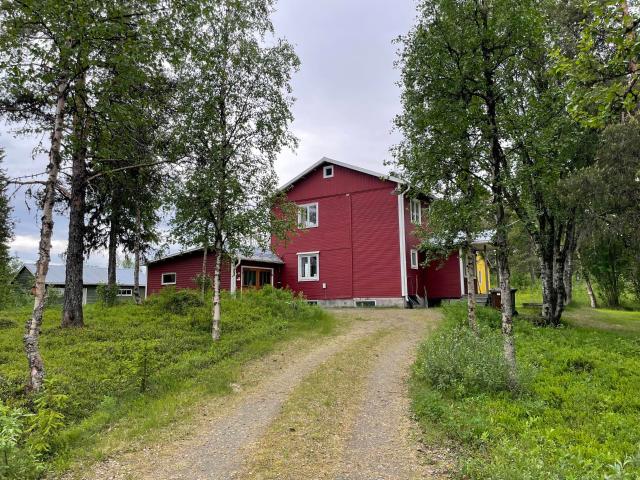 Kauppinen 134