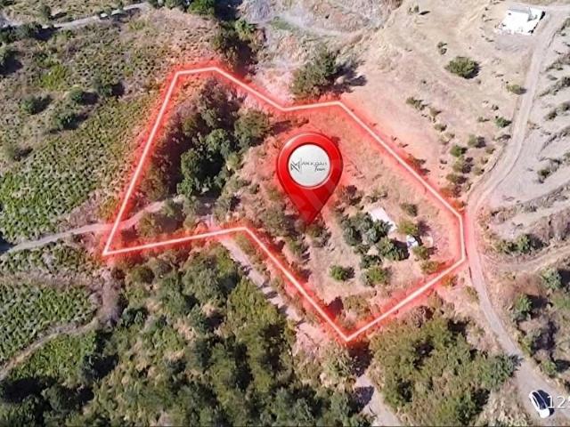 Kavacık köyünde fırsat tarla