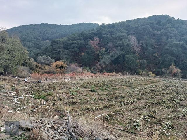 Kavacıkta Doğayla İç İçe, 3472 m Geleceğe Kazandıran Yatırım