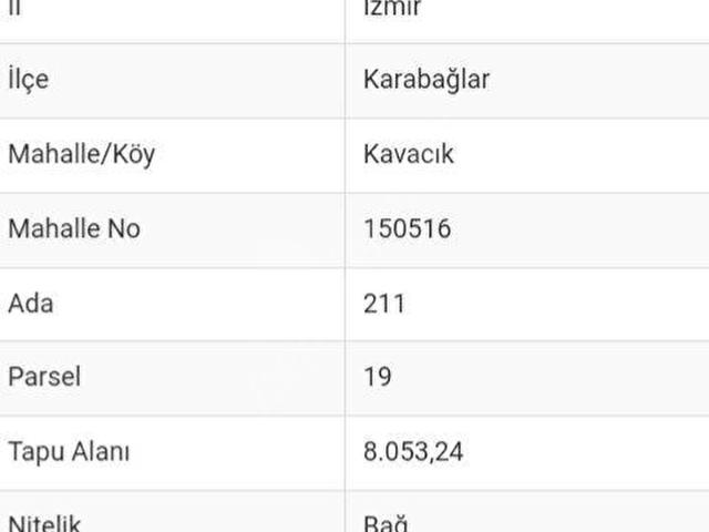 KAVACIK KÖYÜNDE SATILIK BAĞ