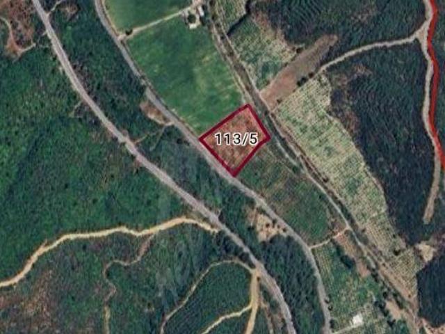 KAVAKDERE DE ASFALT YOL CEPHELİ 6.911 M2 SATILIK MANDALİNA BAHÇE