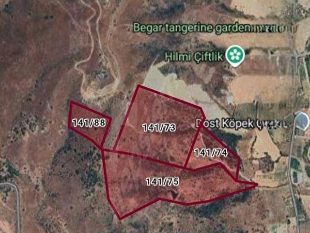 KAVAKDERE'DE 273 DÖNÜM TARLA SATILIKTIR