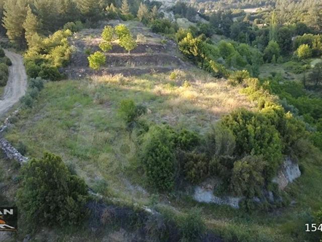 KAVAKLIDERE ÇAMYAYLA MAHALLESİNDE 4222M2 ACİL SATILIK TARLA