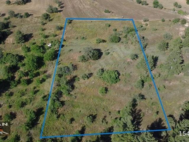 KAVAKLIDERE MENTEŞE MAHALLESİNDE 9834M2 SATILIK TARLA