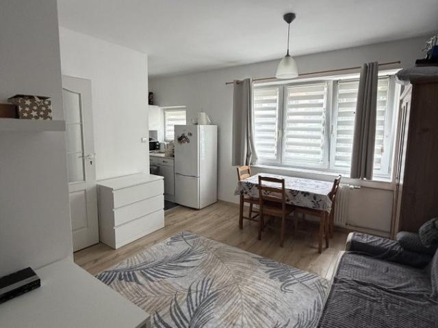 Kawalerka 23 m² po remoncie, pełne wyposażenie, świetna lokalizacja