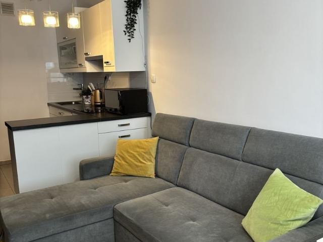 Kawalerka 29 m² po remoncie blisko terenów zielonych