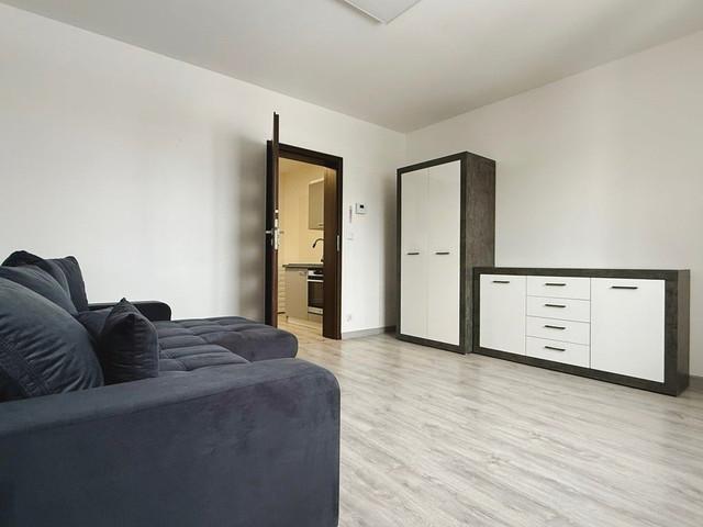 Kawalerka do wynajęcia, Bielsko Biała Kolista Kolista, 1600 PLN, 30 m2, domy REMAX 441/2674/OMW