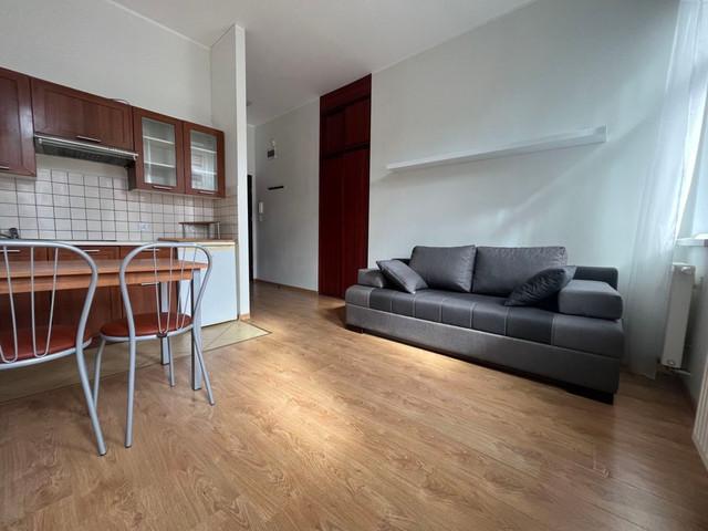 Kawalerka do wynajęcia, Poznań Grunwald Łazarz Limanowskiego, 1500 PLN, 25 m2, domy 11920337
