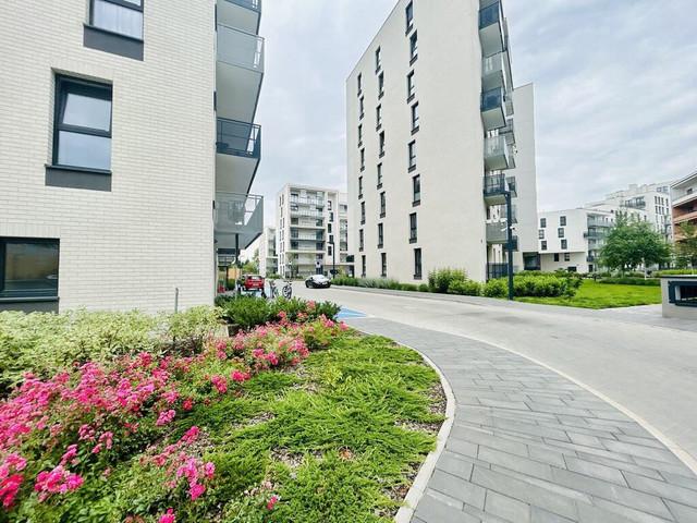 Kawalerka do wynajęcia, Wrocław Wrocław Stare Miasto Długa, 1815 PLN, 24 m2, domy 327/17067/OMW