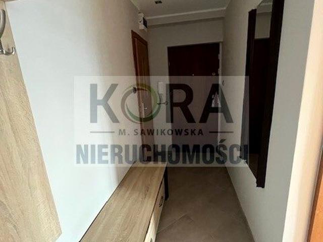Kawalerka na wynajem przy centrum Września