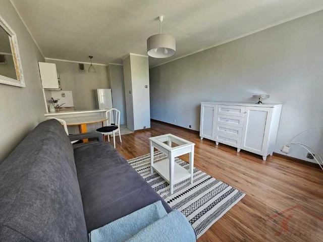 Kawalerka z widokiem na Hanza Tower 440049