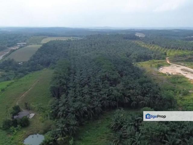 Kawasan Perindustrian Seelong