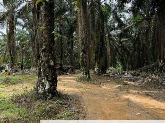 Kawasan Perindustrian Seelong