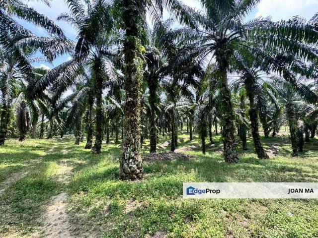 Kawasan Perindustrian Pontian