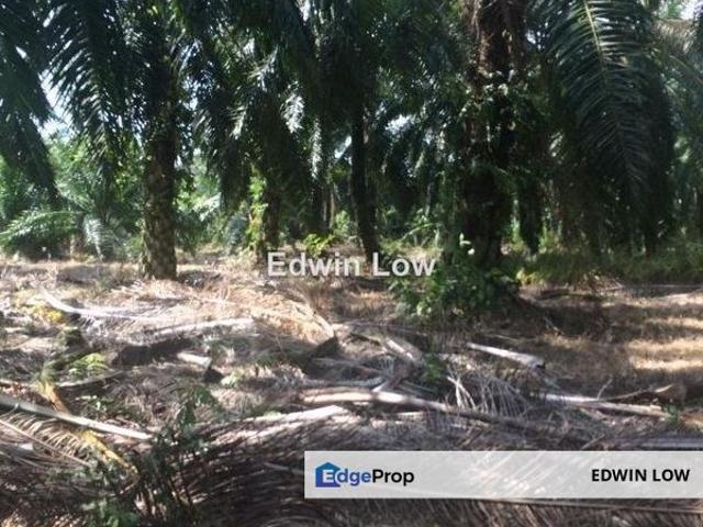 Kawasan Perindustrian Tanjung