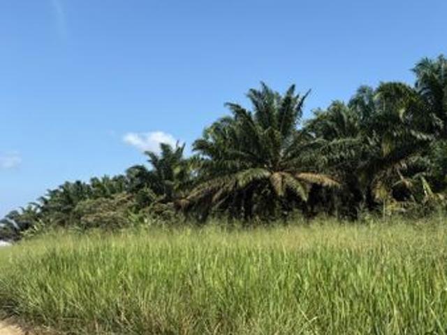 Kawasan Perusahaan Sri Sengkang