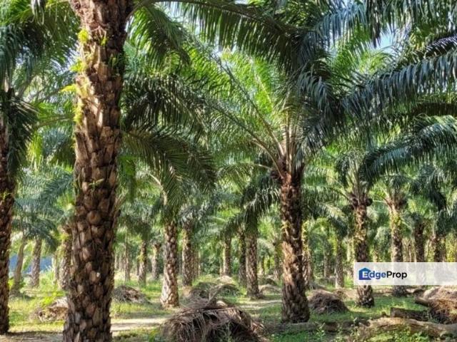 Kawasan Perusahaan Telok Mengkuang