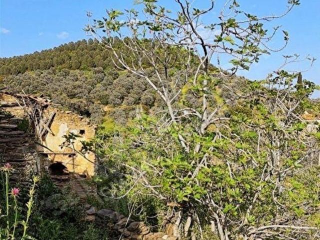 KAYAKÖYDE SATILIK İÇİNDE ESKİ EVİ BULUNAN İKİ TAPUNUN TOPLAM ARAZİ 588 MK