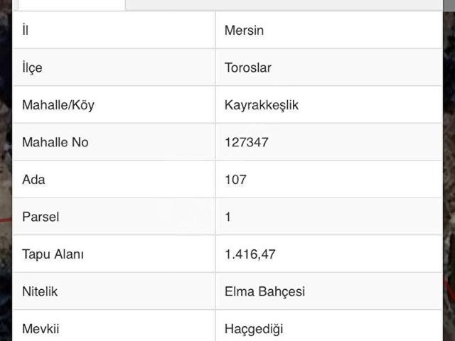 KAYRAKKEŞLİK'TE 1.416 M2 SATILIK BAHÇE
