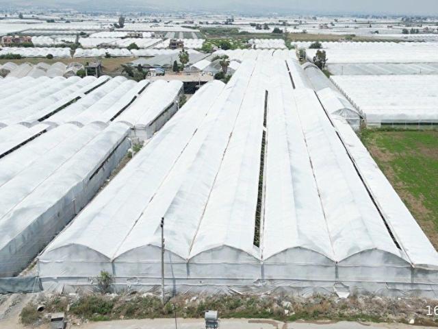 KAZANLIDA ALTIN DEĞERİNDE YATIRIM FIRSATI MODERN SERA