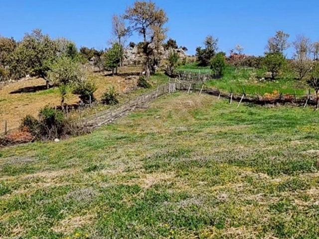 KAZDAĞLARI BAYRAMİÇ ALAKECİ KÖYÜNDE ARSA